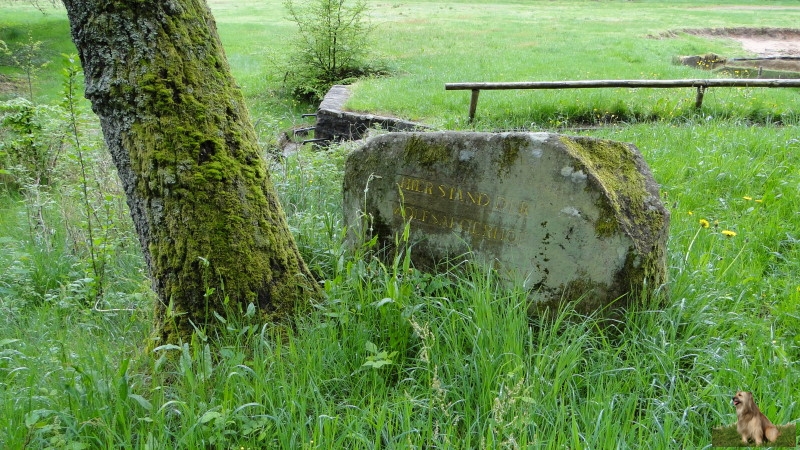 Ritterstein Nr. 202-3b Hier stand der Wolfsaegerhof.JPG - Ritterstein Nr.202 Hier stand der Wolfsaegerhof